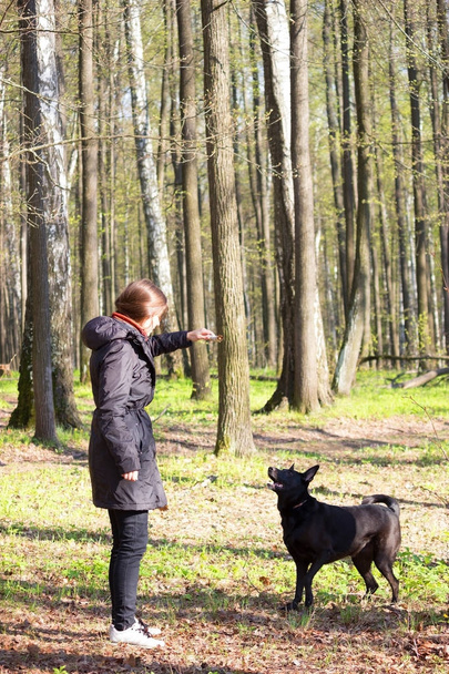 young woman play with black dog in a park - Fotoğraf, Görsel