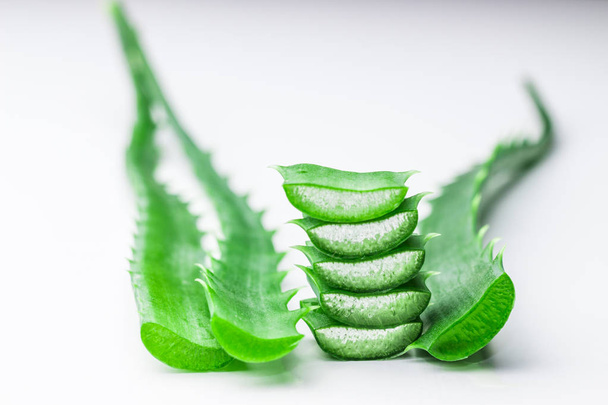 aloe vera leaves Close-up with flowing juice on white background close-up - Photo, image