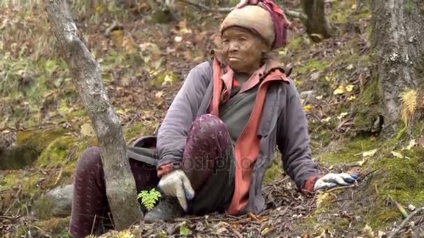 oude vrouw in het bos - Video