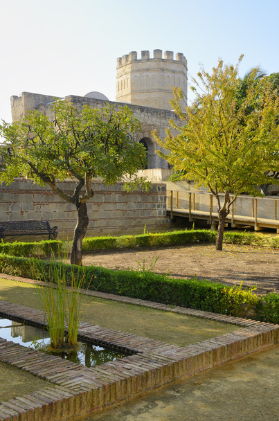 Ισλαμική αρχικού Πύργου - Φωτογραφία, εικόνα