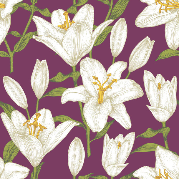 Vector floral seamless pattern with white lilies. Floral background in vintage style. - Vector, Image