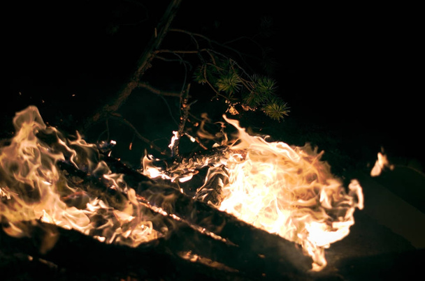 Leña en llamas
 - Foto, imagen
