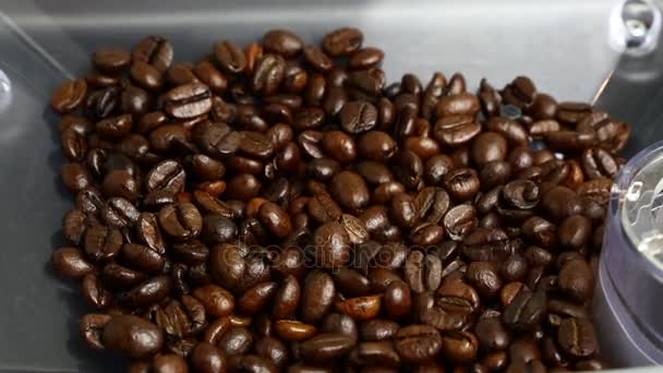 Palonych ziaren kawy, szlifowane w Kawo-Maszynie - Materiał filmowy, wideo