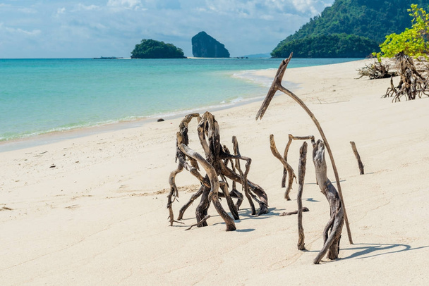 trockenes altes Treibholz an einem Sandstrand auf der Insel Poda, Thailand - Foto, Bild