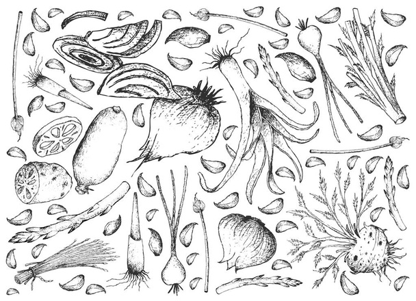 Ręcznie rysowane żarówki i tło warzywa macierzystych - Wektor, obraz