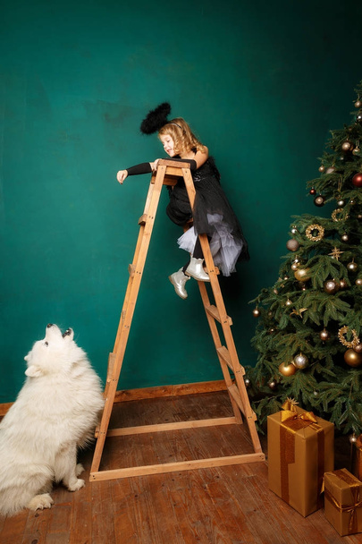 Año Nuevo composición de Navidad en el estudio. Pequeña linda chica rubia en traje de ángel negro en las escaleras y la alimentación de perro blanco grande
 - Foto, Imagen