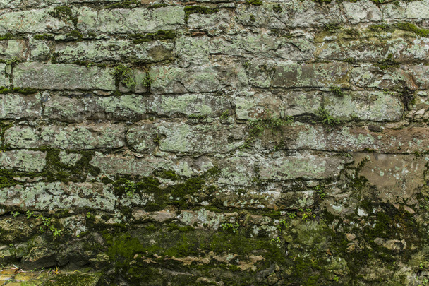 Old Brick Wall with Moss texture background - Φωτογραφία, εικόνα