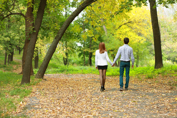 Young couple backside in autumn park - Фото, изображение