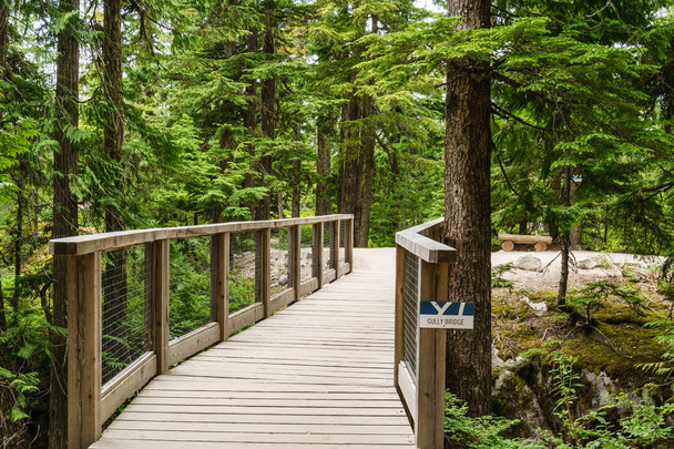 Squamish Canada July 9, 2017 - scenic view of walking trail in the Sea to Sky Gondola park in Squamish - 写真・画像