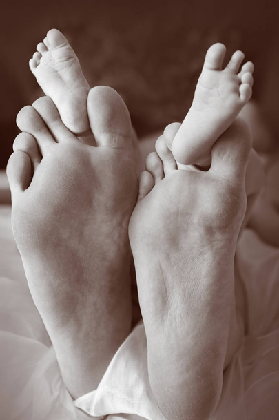 right foot's of mother and father hold feet of the child - Fotografie, Obrázek