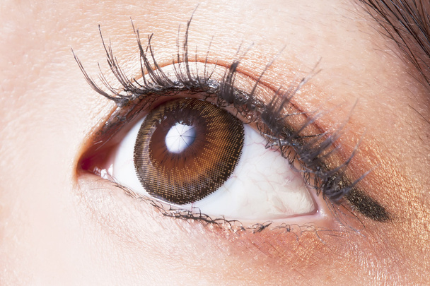 Female eye with brown contact lenses macro - Fotografie, Obrázek