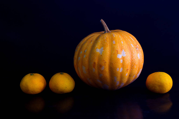 Yellow pumpkin and oranges photo on black background. Fresh vegetables and fruits harvest. Ripe orange pumpkin for Halloween decoration. Outstanding or out of line concept. Business advantage metaphor - Foto, immagini