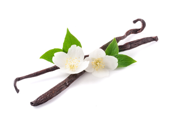 Vanilkové tyčinky s květů a listů izolovaných na bílém pozadí - Fotografie, Obrázek