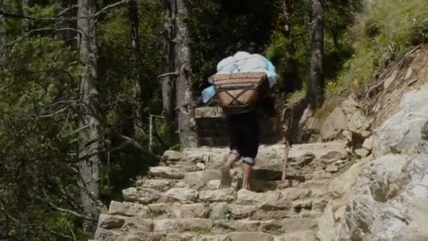 Porter is carrying a cargo in the Himalayas - Footage, Video