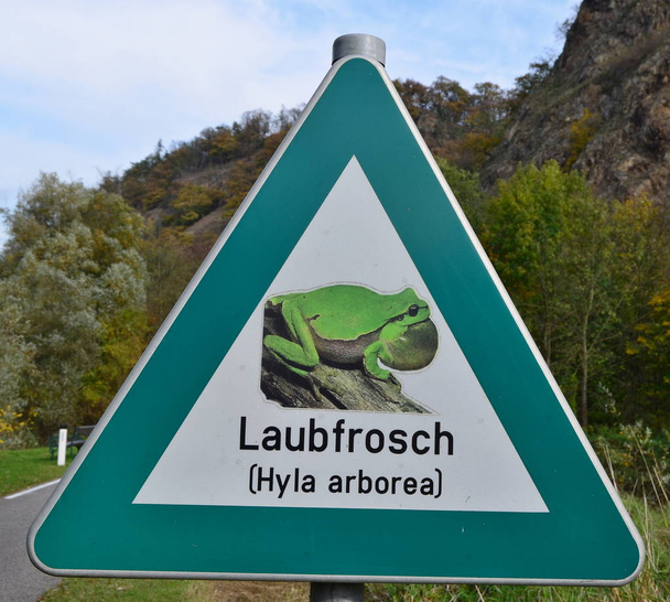 road sign highlights the presence of green tree frog (hyla arbor - Photo, Image