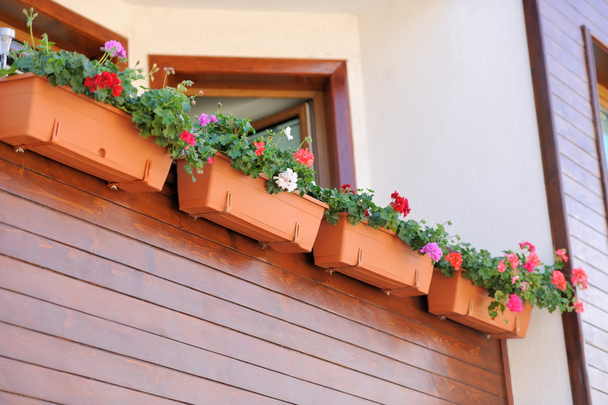 Romantikus terasz tele virággal - Fotó, kép