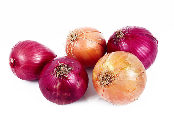 onions on white background - Photo, Image