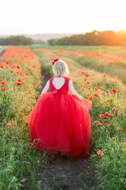 παπαρούνες, γεωργία, παραγωγή και οικολογία, τη φύση και το καλοκαίρι έννοια - γκρο πλαν σχετικά μικρό ξανθό κορίτσι με φόρεμα κόκκινο για διακοπές, στέκεται πίσω μεταξύ των σειρών των παπαρούνες στο πεδίο της παραγωγής. - Φωτογραφία, εικόνα