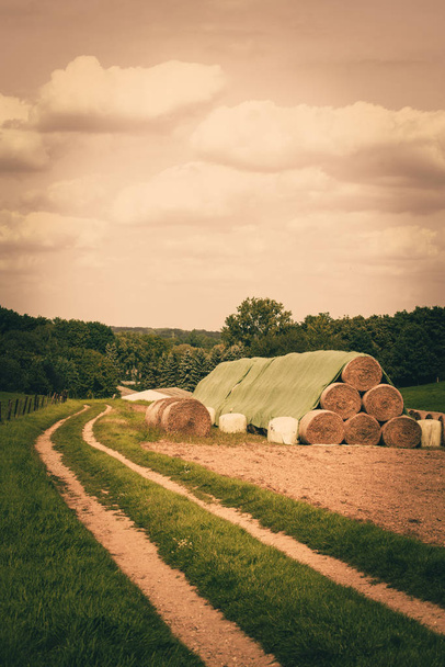 hay ball on field. farm field with hay bales - Φωτογραφία, εικόνα