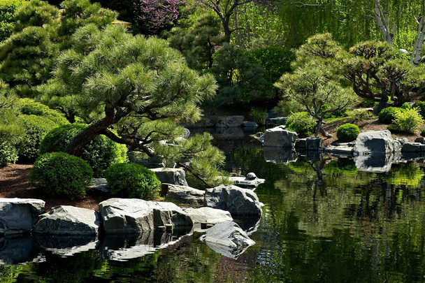 日本庭園 - 写真・画像