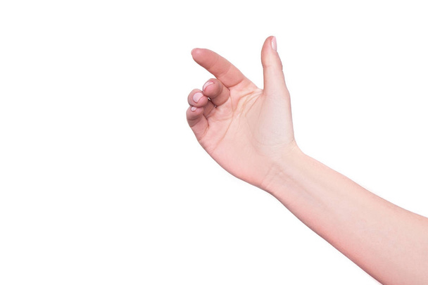 hand holding phone isolated white background - Photo, image