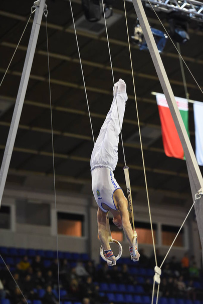 Male gymnast performing on stationary gymnastic rings - Foto, Imagen