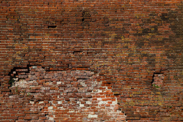 vintage brick wall. Background, texture red brick. - Photo, Image