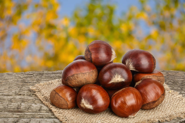 chestnut on the old wooden table with blurred garden background - Photo, Image