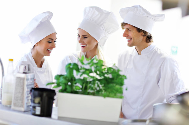 Szefów kuchni zajęty w pracy w kuchni restauracji - Zdjęcie, obraz