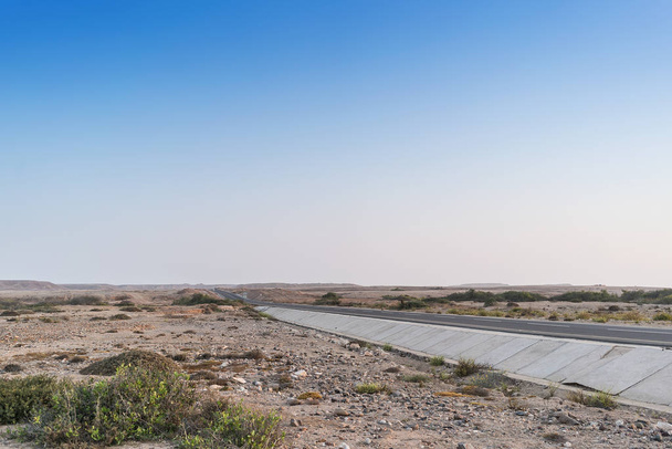 Bush along the desert road. Namibe. Angola. - Photo, Image
