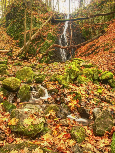 Színes levelek és habos, gyors patak. Élénk őszi színek pataknál a whinstone sziklák között. - Fotó, kép