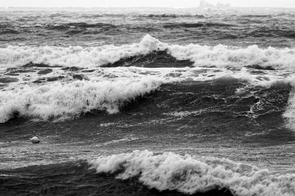 rankka myrsky Lericissä
 - Valokuva, kuva