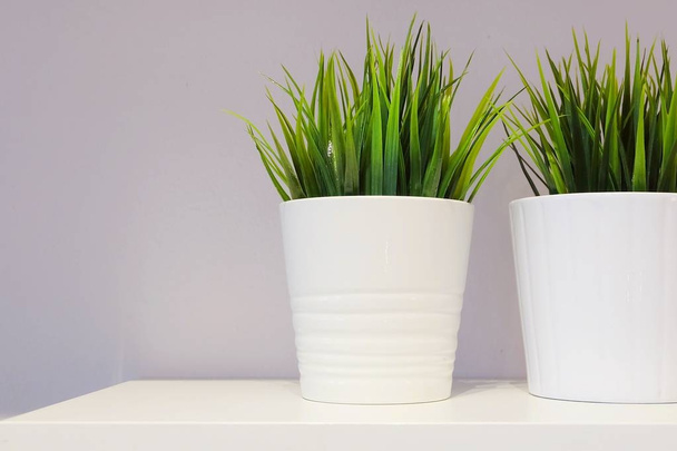 Umělé zelené rostliny v bílé porcelánové konvičky - Fotografie, Obrázek