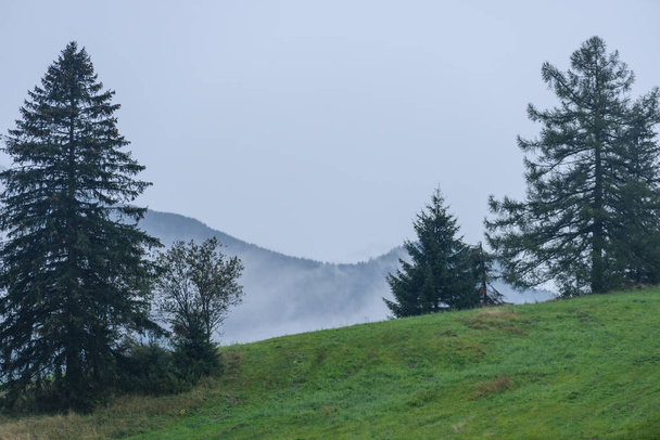 panoramatický pohled mlžný Les v horské oblasti - Fotografie, Obrázek
