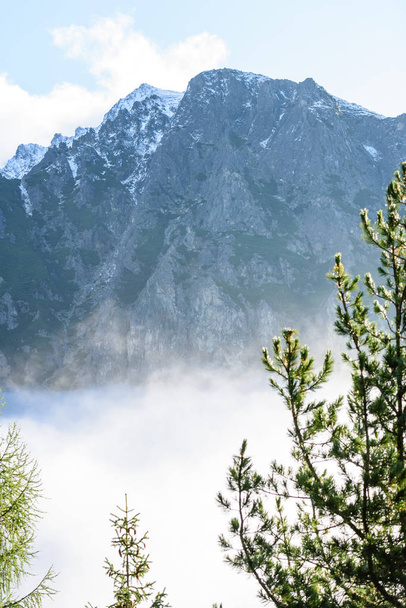 panorámás kilátás nyílik a hegyvidéki területen hegyek h ködös erdő - Fotó, kép