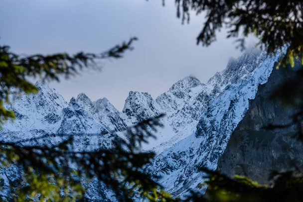 puslu dağ alan dağlar h ile ormanda panoramik manzaralı - Fotoğraf, Görsel