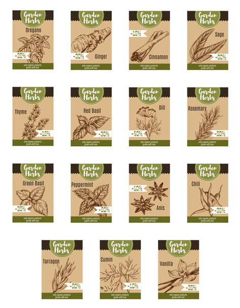 Spice and garden herb discount tag and label - Vector, Image