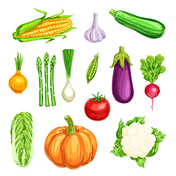 Vegetable watercolor icon of organic farm veggies - Vector, Image