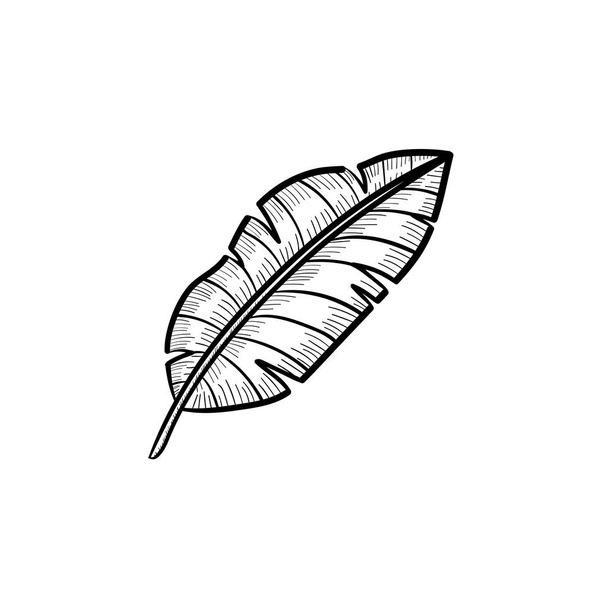 Banana leaf hand drawn sketch icon. - Vector, afbeelding