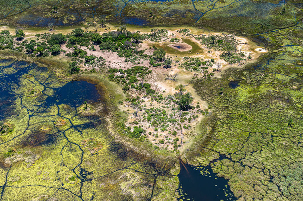 Aerial panoramic view of the Okavango Delta (Okavango Grassland), One of the  Seven Natural Wonders of Africa, Botswana - Fotó, kép