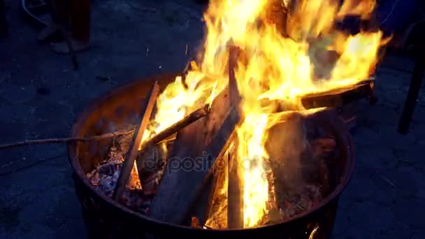 Táborový oheň v noci - Záběry, video