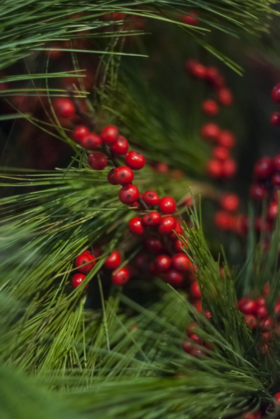 Ramas de Navidad con bayas rojas rodeadas de pino
 - Foto, Imagen