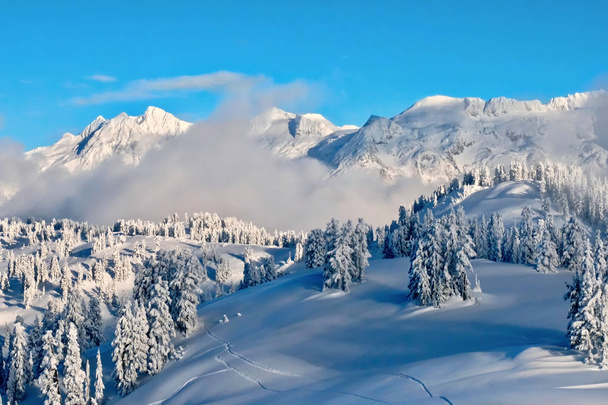 Téli ladscape erdő és hegyek borítják hó és fagy nagy havazás után.  - Fotó, kép