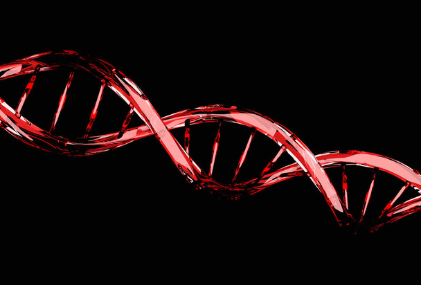 Estrutura da molécula de DNA vermelho isolado em preto
 - Foto, Imagem