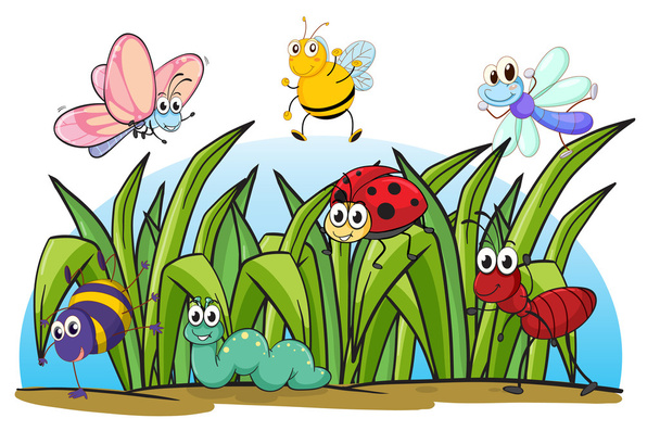 Various insects and grass - Vector, Image