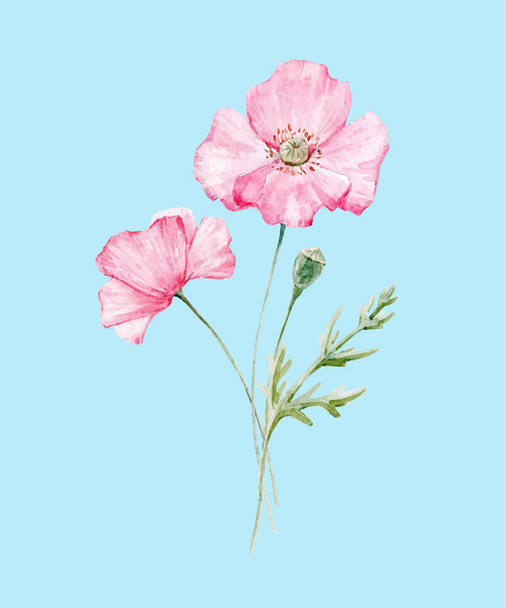Watercolor poppy flower - ベクター画像