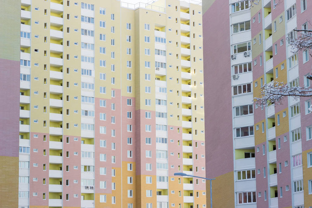 Fragmento de prédio de apartamentos com galhos de pinho em primeiro plano
 - Foto, Imagem