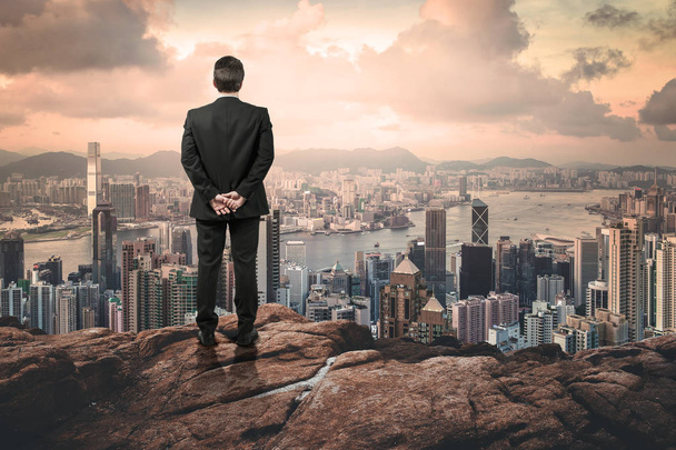бизнесмен смотрит на город с холма
 - Фото, изображение