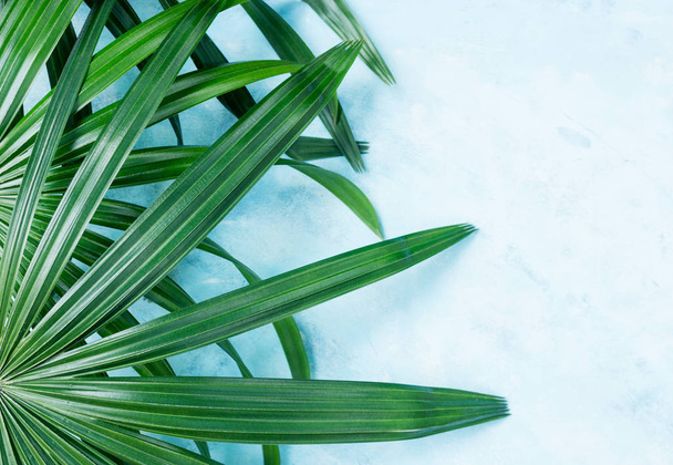 Green tropical palm leaves on blue background. Travel concept. Text space - Fotó, kép