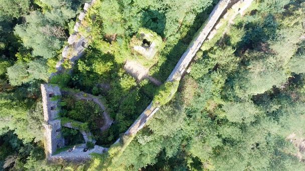 Luftaufnahme der Burgruine - Foto, Bild